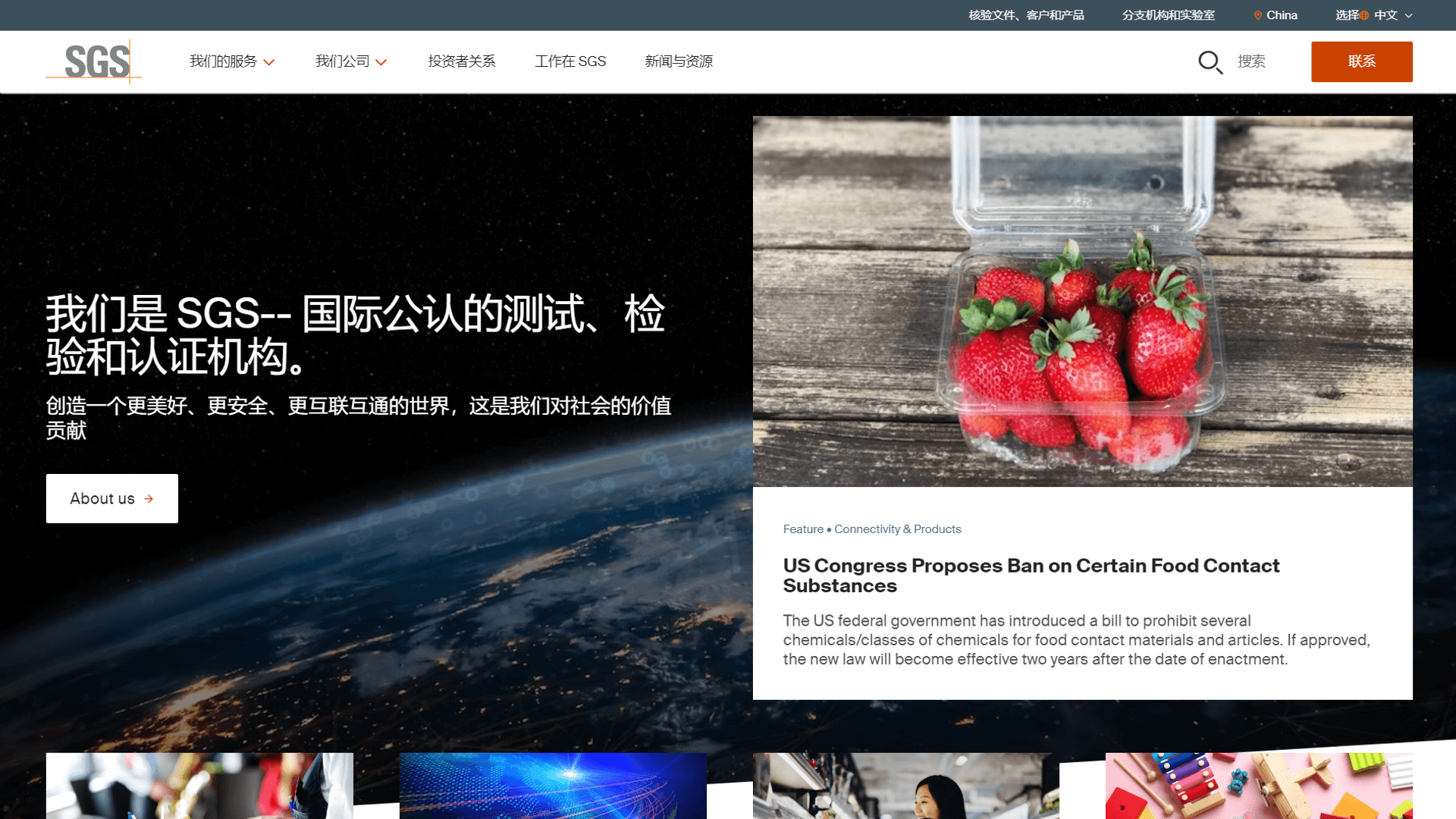 SGS China Website